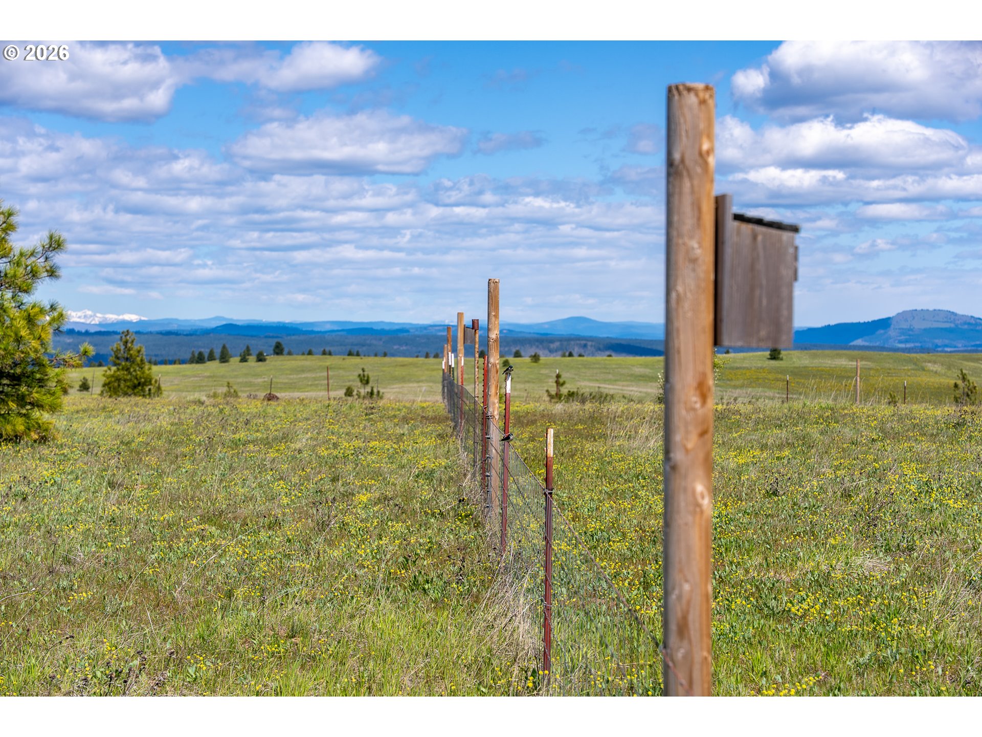 Morris Road Lyle, WA 98635 - Photo 21 of 47