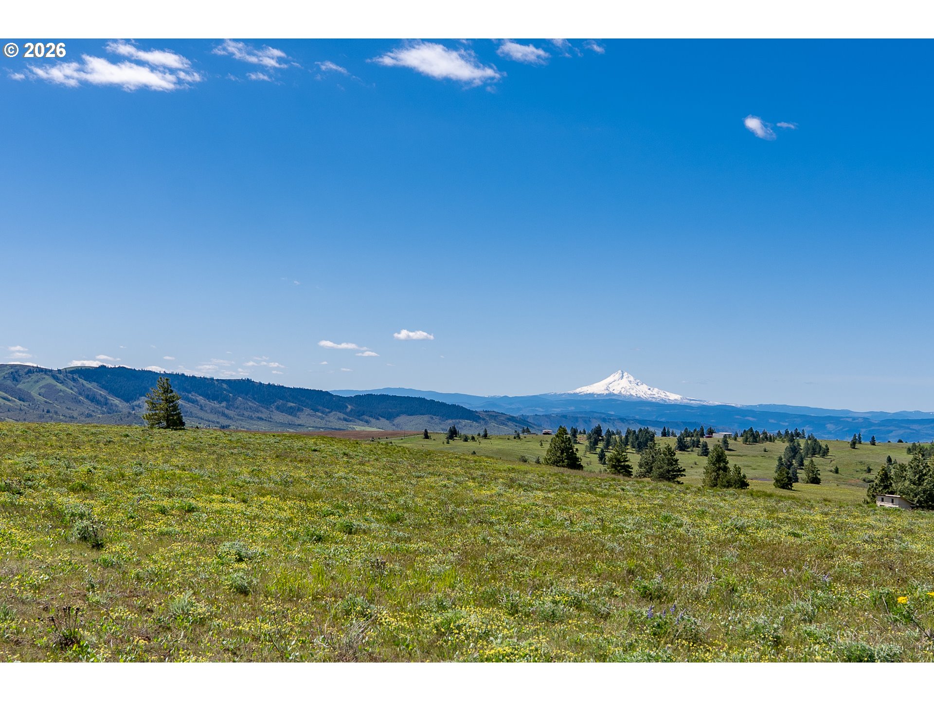 Morris Road Lyle, WA 98635 - Photo 24 of 47