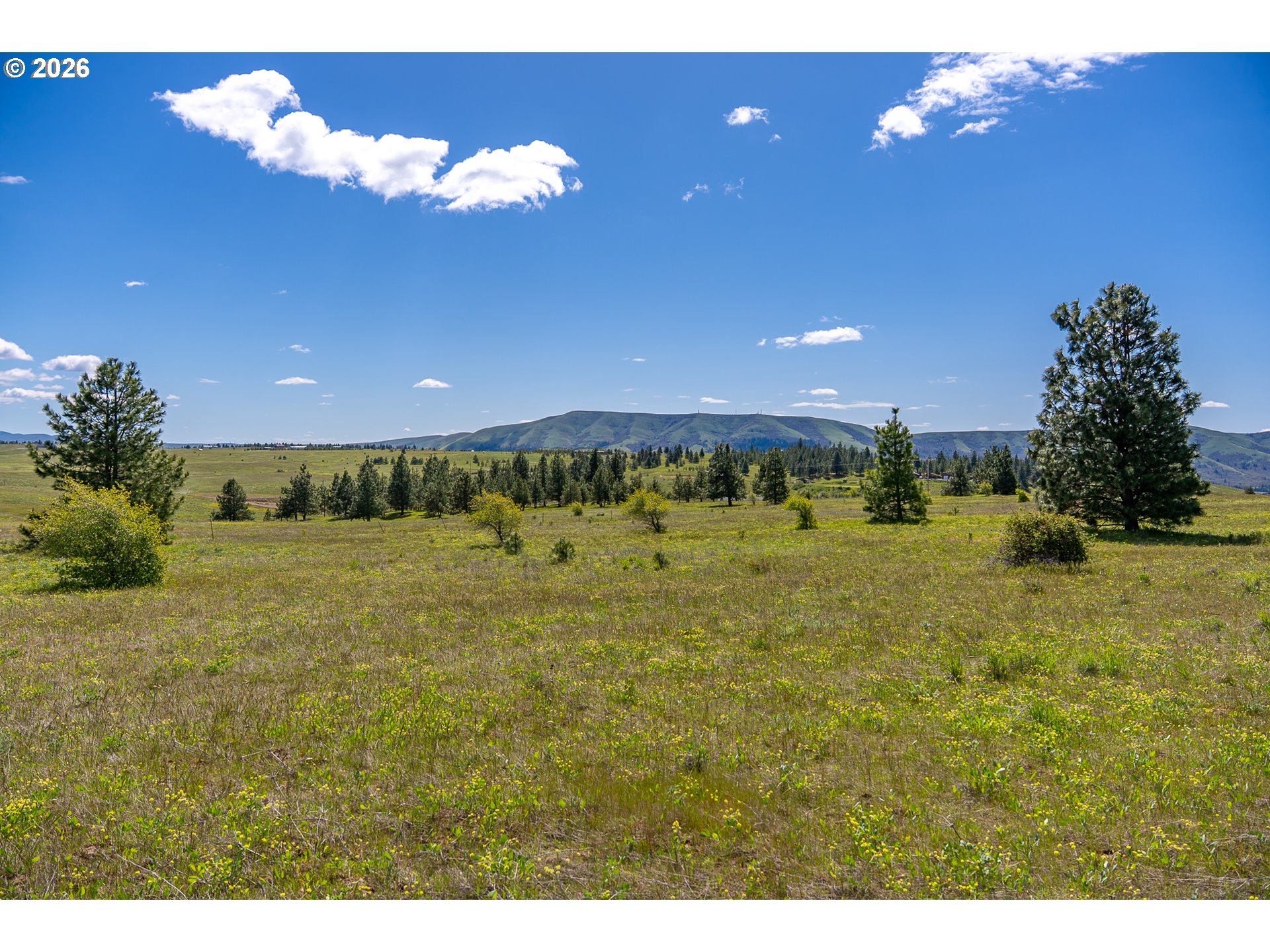 Morris Road Lyle, WA 98635 - Photo 25 of 47