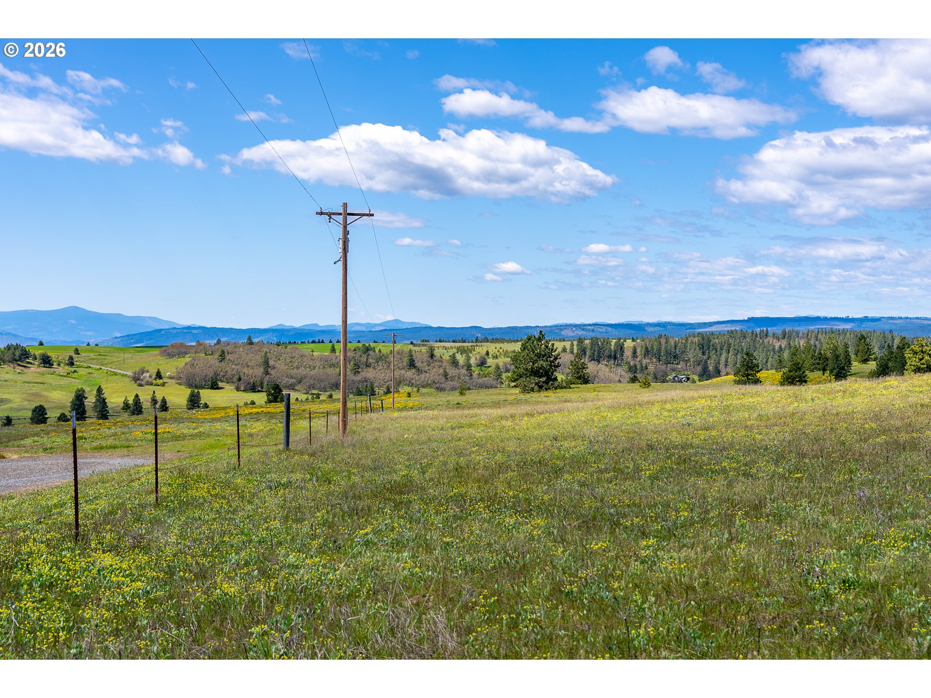 Morris Road Lyle, WA 98635 - Photo 27 of 47