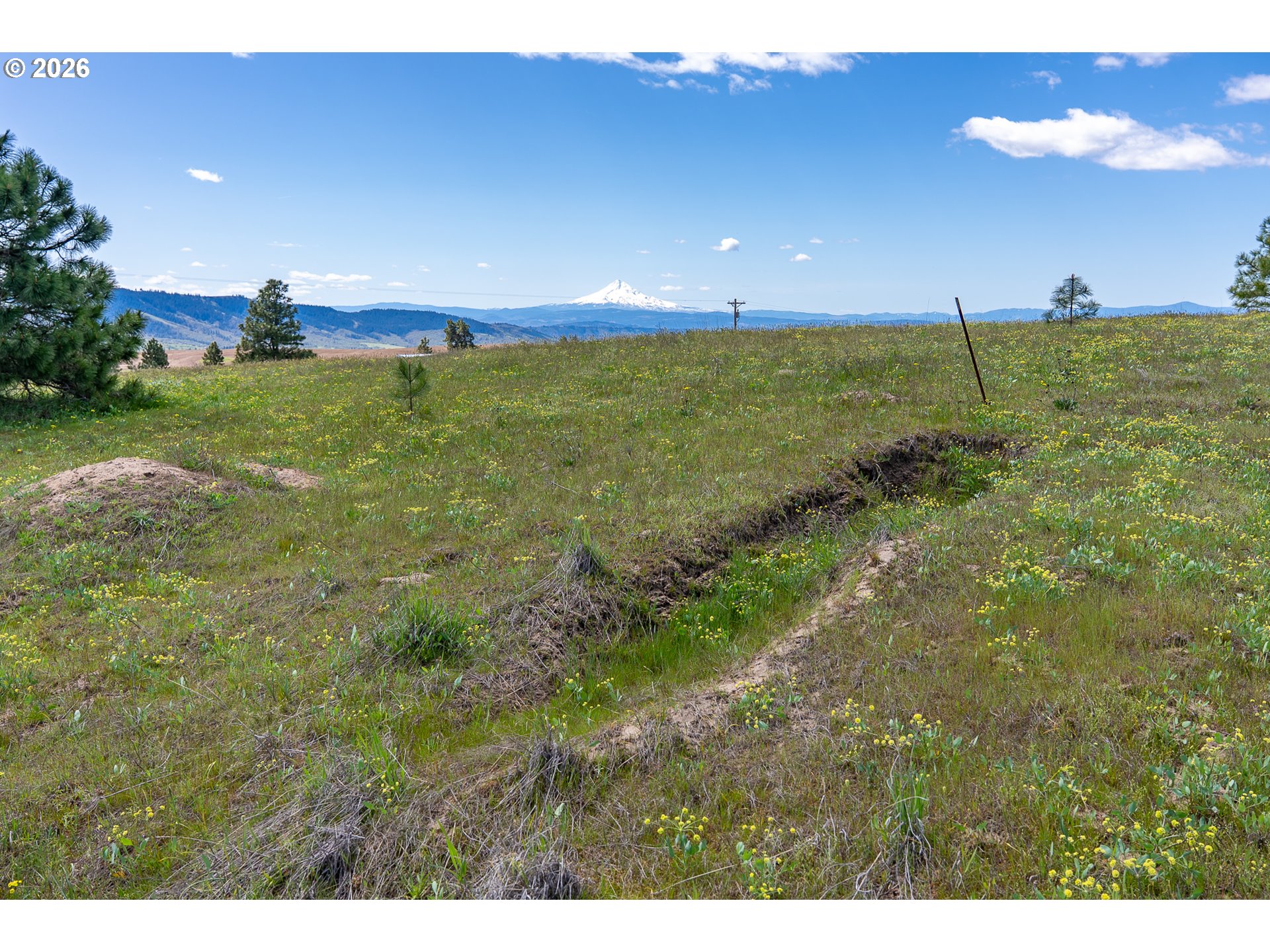 Morris Road Lyle, WA 98635 - Photo 29 of 47