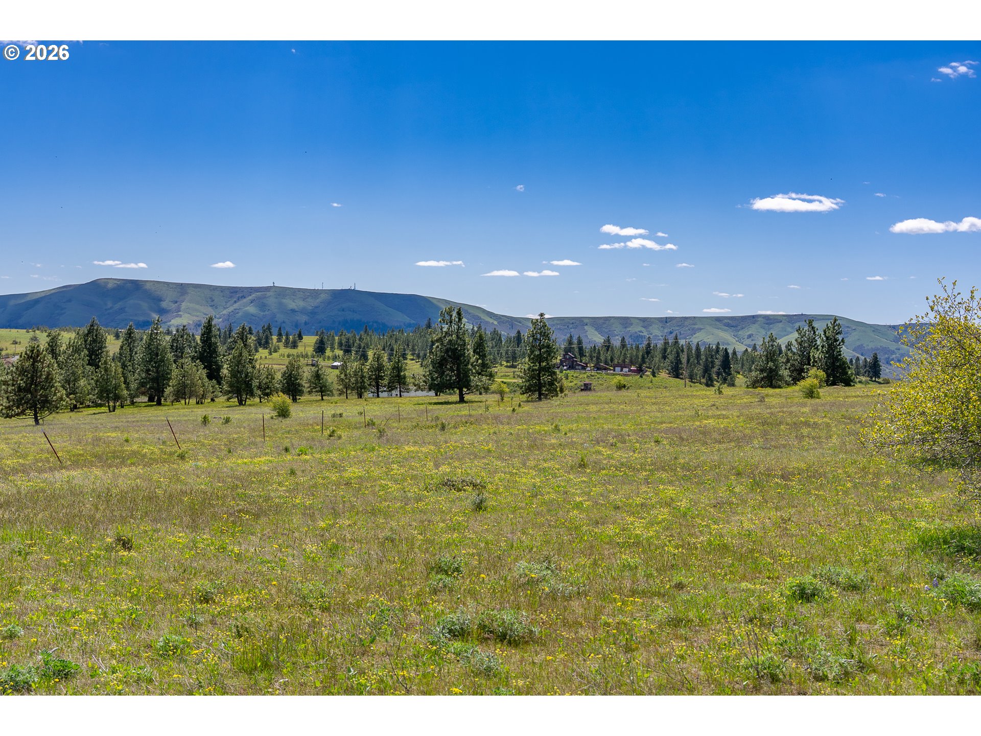 Morris Road Lyle, WA 98635 - Photo 31 of 47