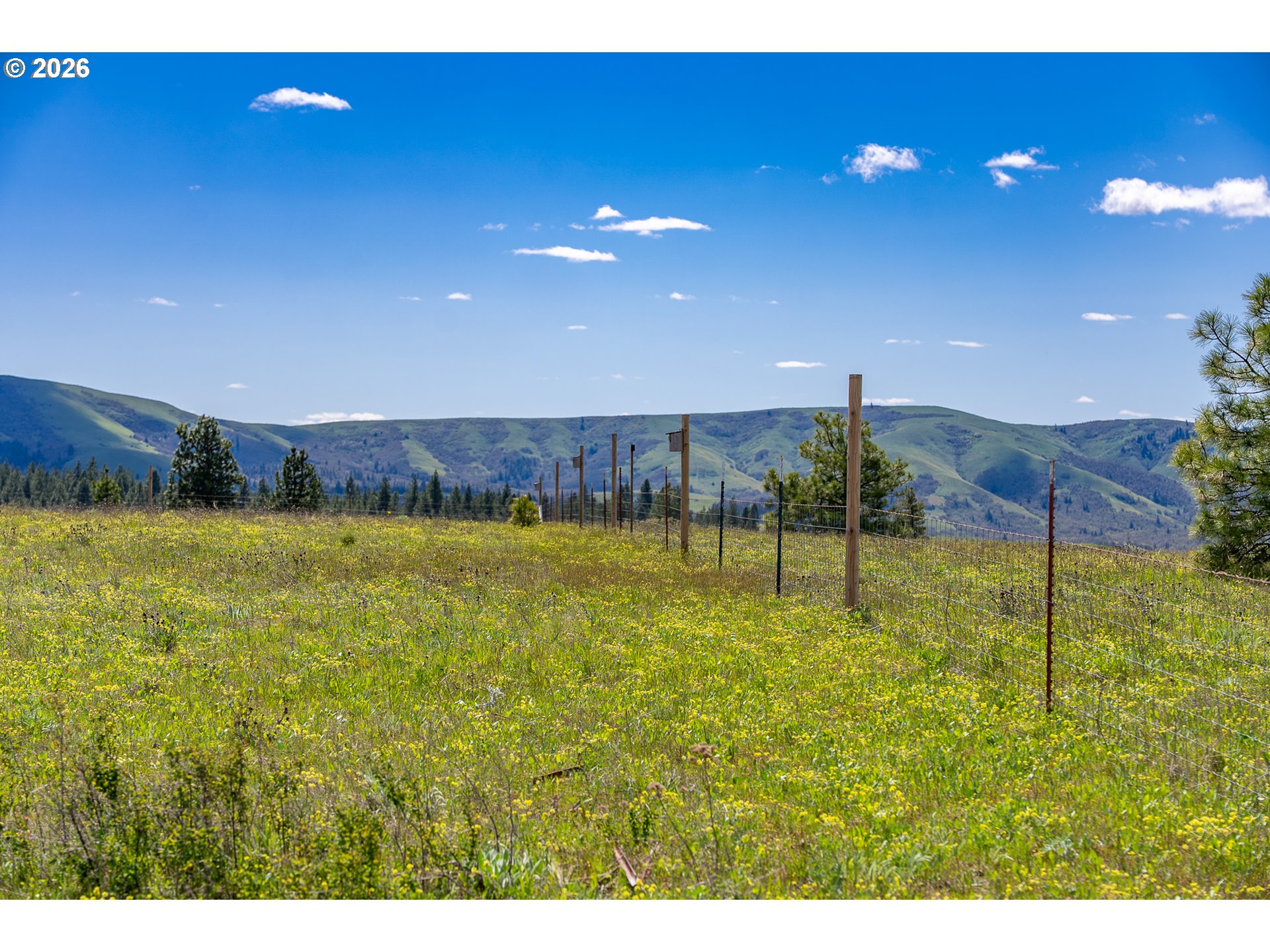 Morris Road Lyle, WA 98635 - Photo 35 of 47