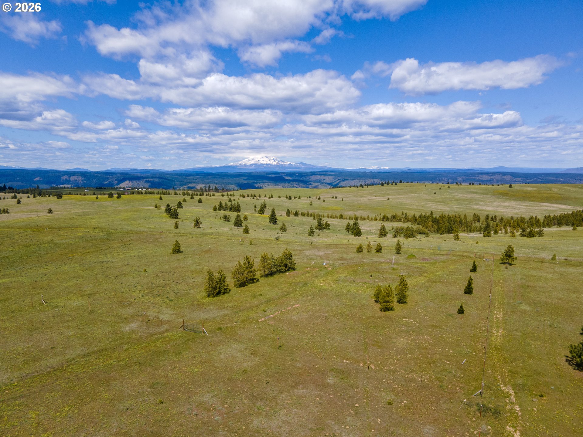 Morris Road Lyle, WA 98635 - Photo 40 of 47