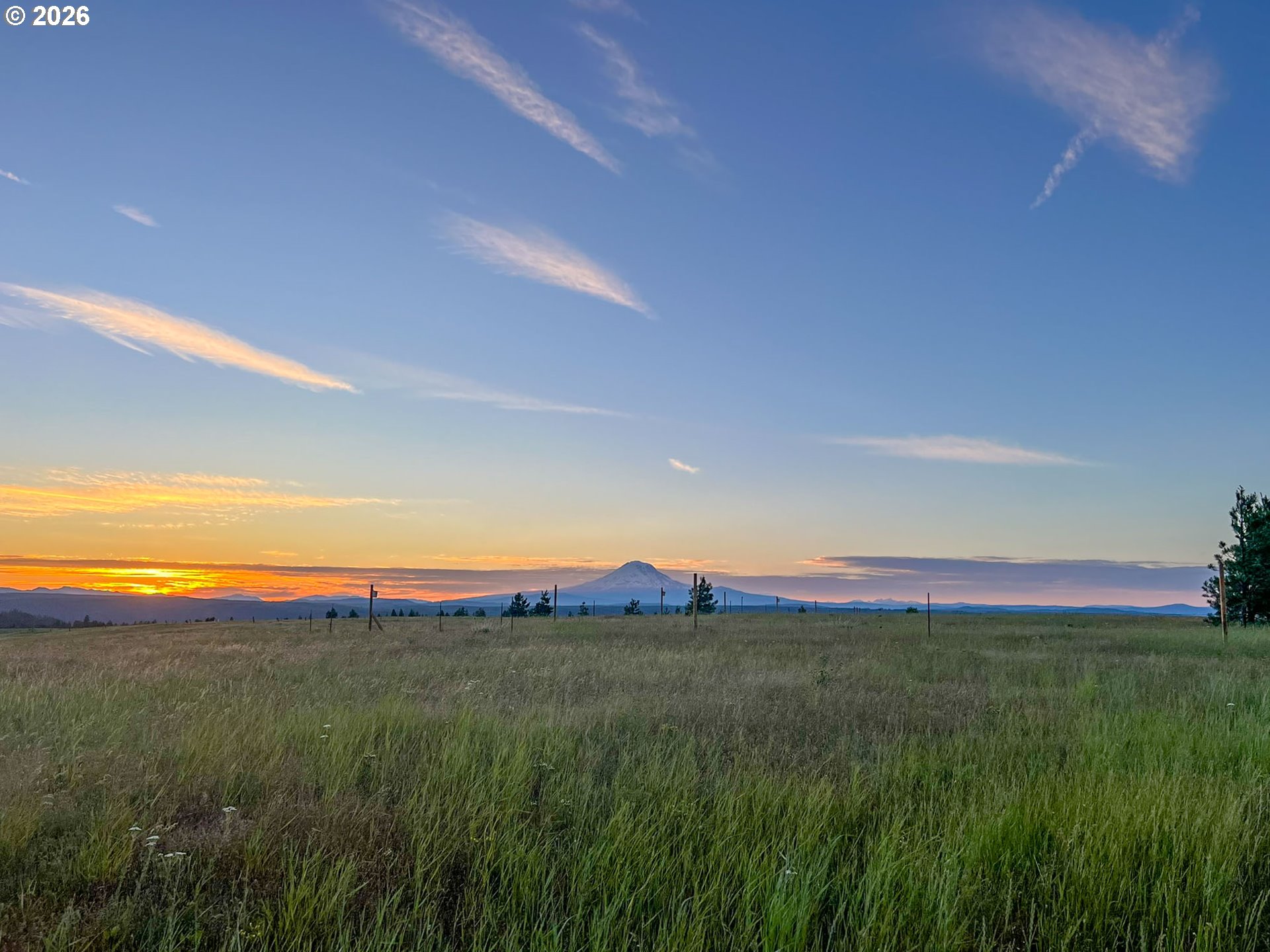 Morris Road Lyle, WA 98635 - Photo 43 of 47