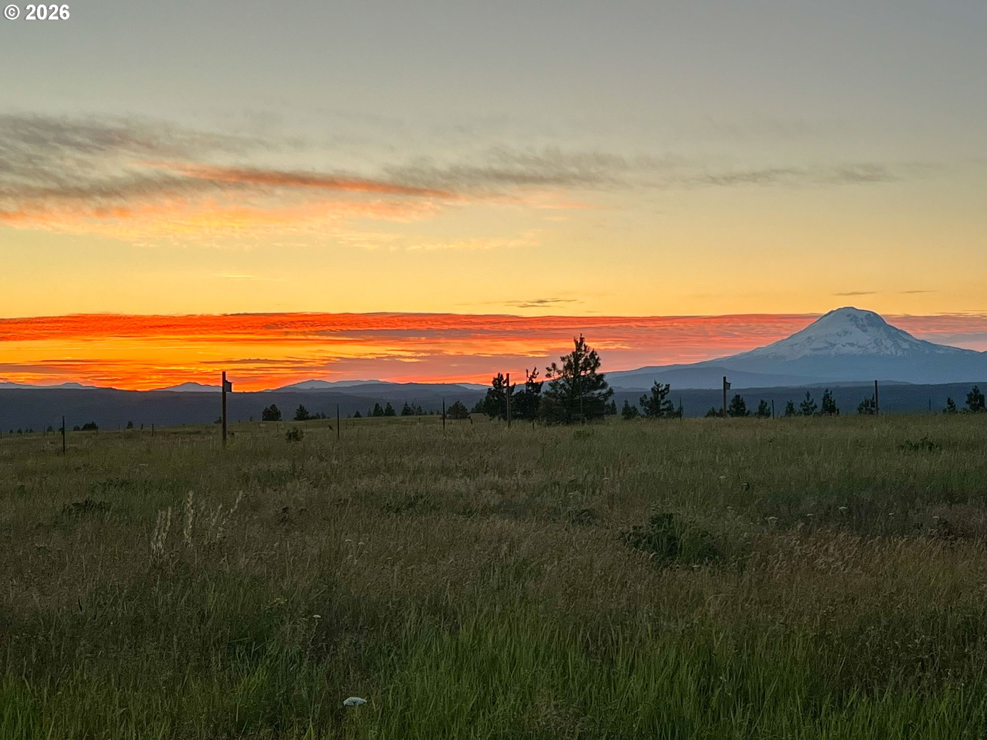 Morris Road Lyle, WA 98635 - Photo 45 of 47