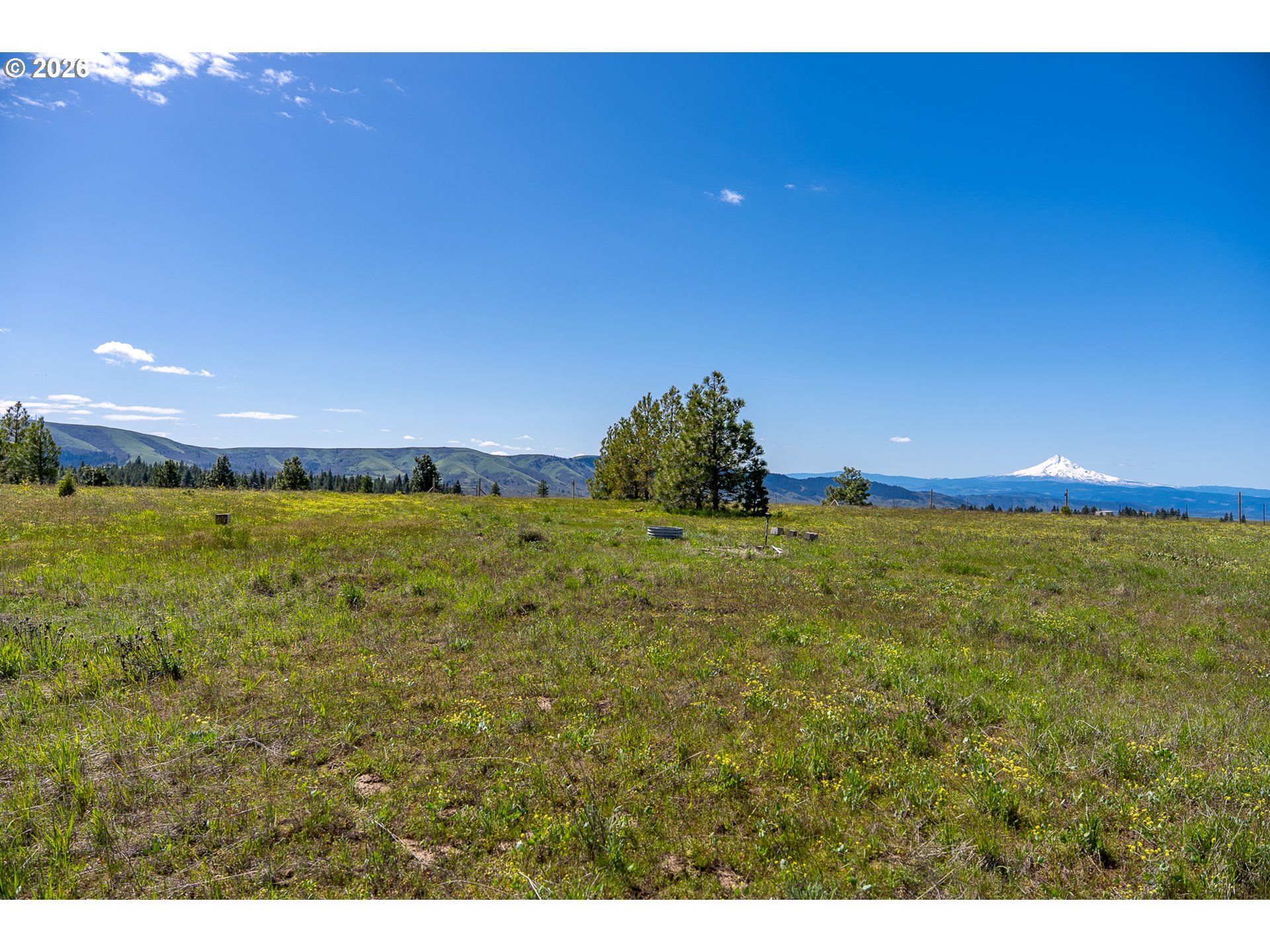 Morris Road Lyle, WA 98635 - Photo 10 of 47