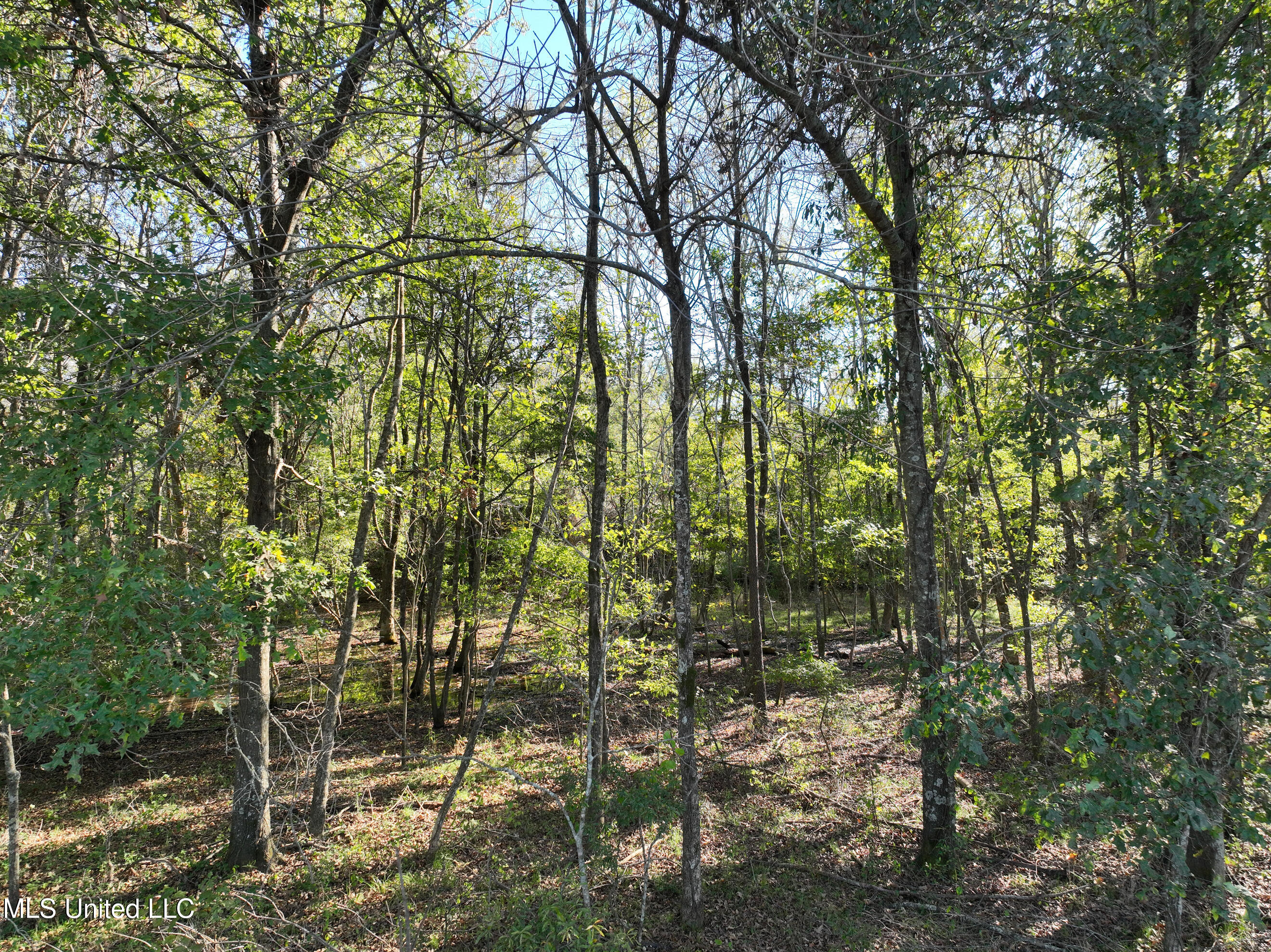 1 Garrett Road Clarksdale, MS 38614 - Photo 6 of 7 DJI_0589