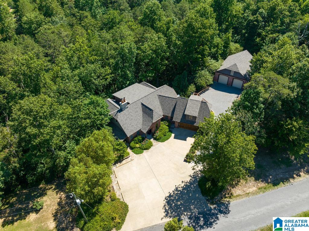 1300 Lake Road Oneonta, AL 35121 - Photo 2 of 55