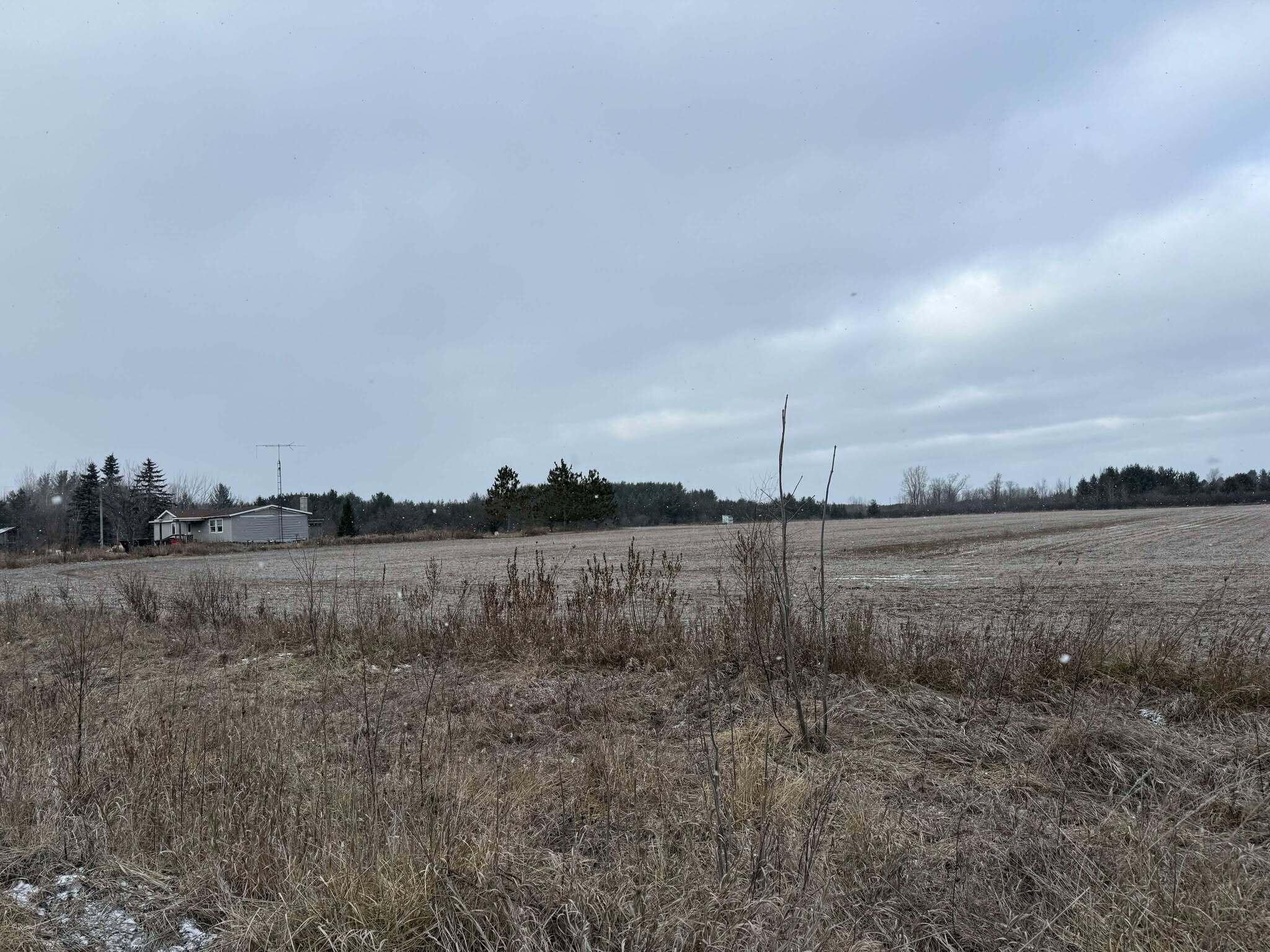 7550 Kleve Road Hubbard Lake, MI 49747 - Photo 17 of 20 Gallery Image 17
