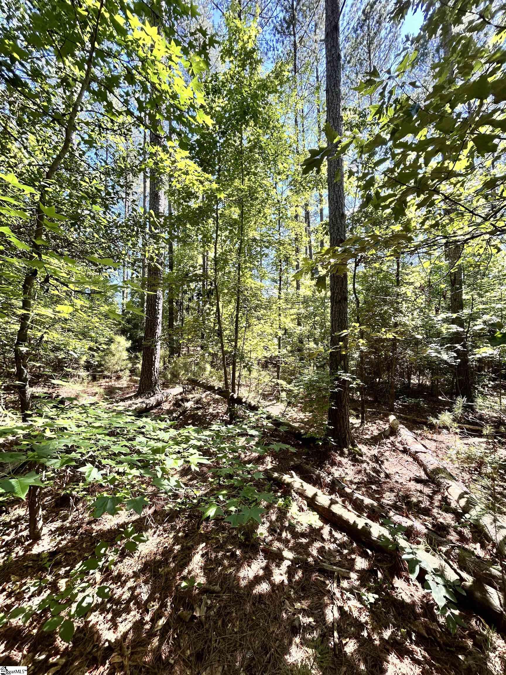 13 Sc - 413 Highway Anderson, SC 29621 - Photo 2 of 6