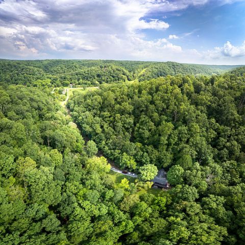 a view of a lush green forest