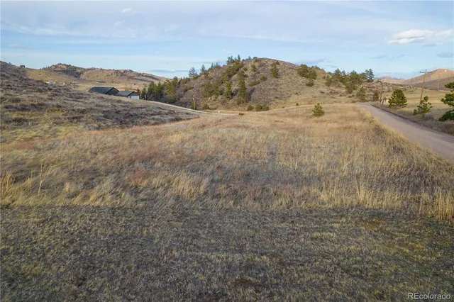 a view of a dry yard with green space