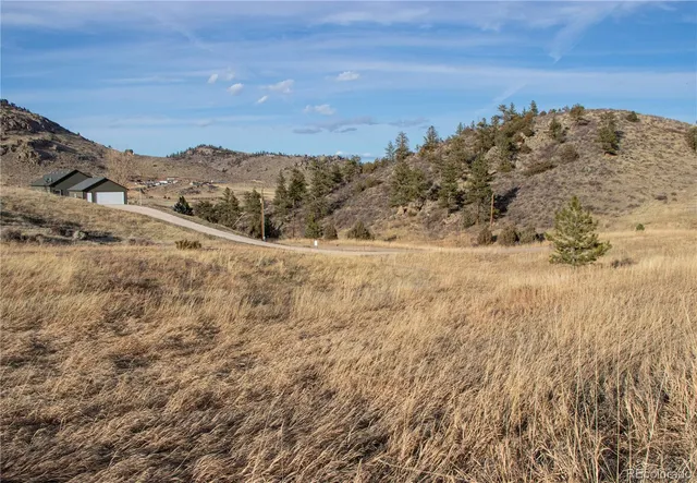 a view of a very nice looking yard