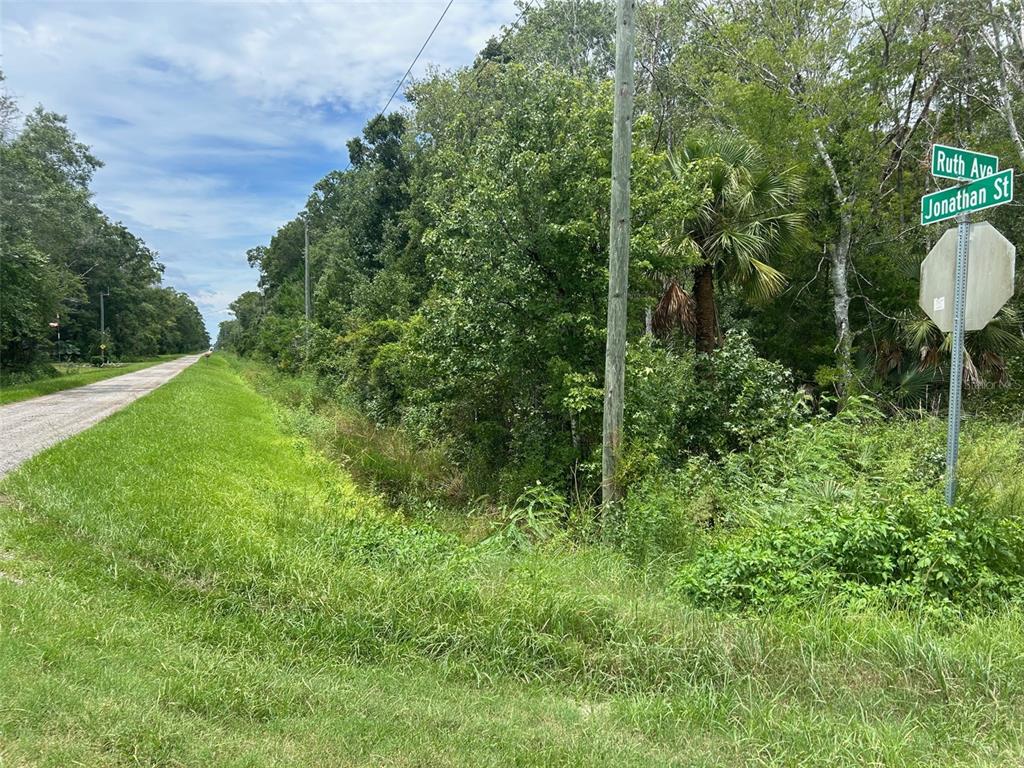 10965 Ruth Avenue Hastings, FL 32145 - Photo 11 of 12 Gallery Image 11