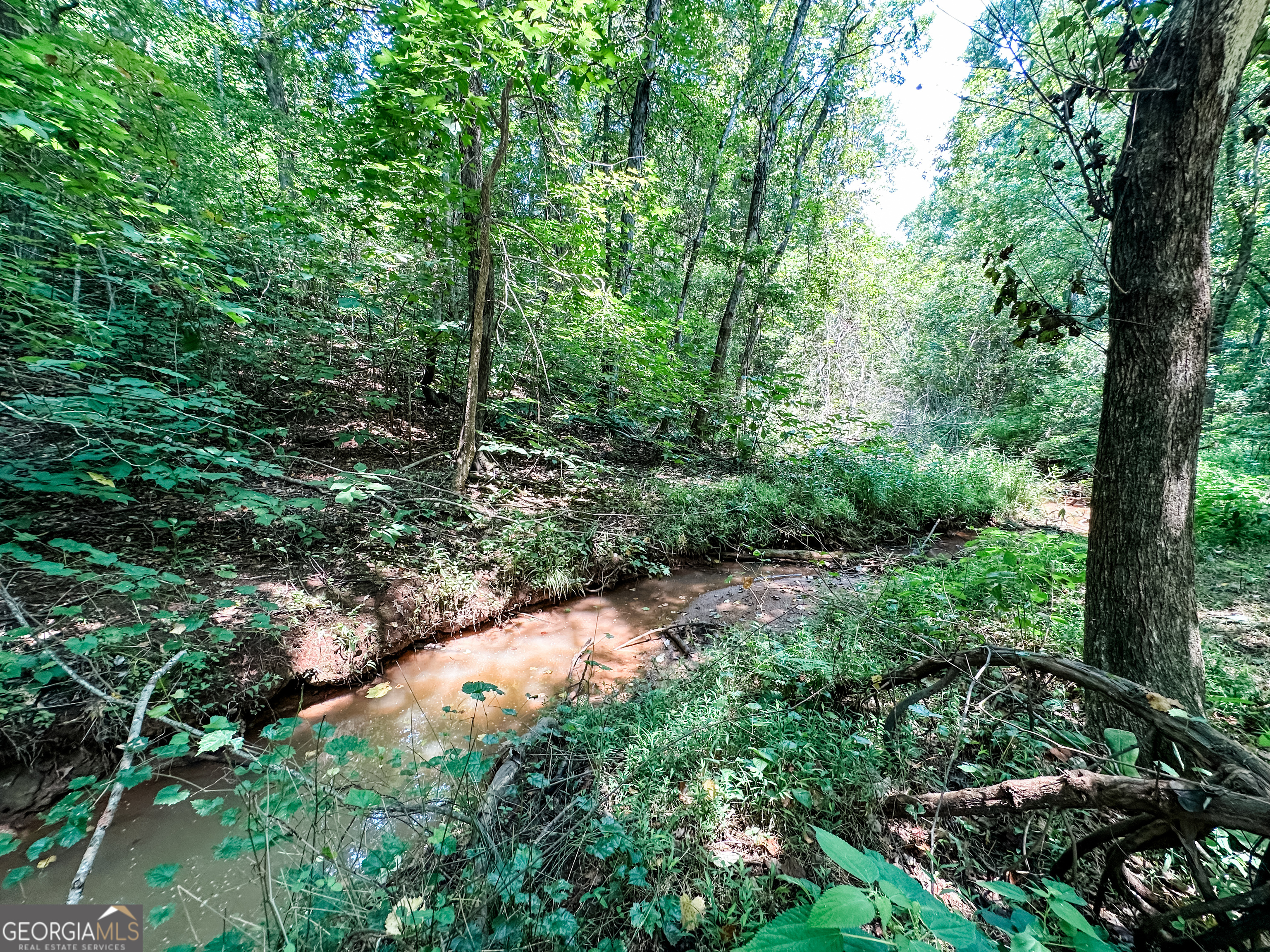 0 Jordan Road, Unit 17 79 ACRES Monticello, GA 31064 - Photo 18 of 38 Gallery Image 18