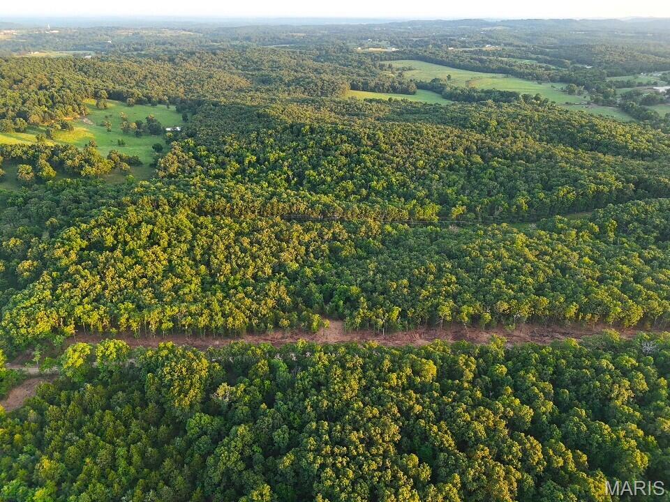5 Cantrell Road Mansfield, MO 65704 - Photo 15 of 16