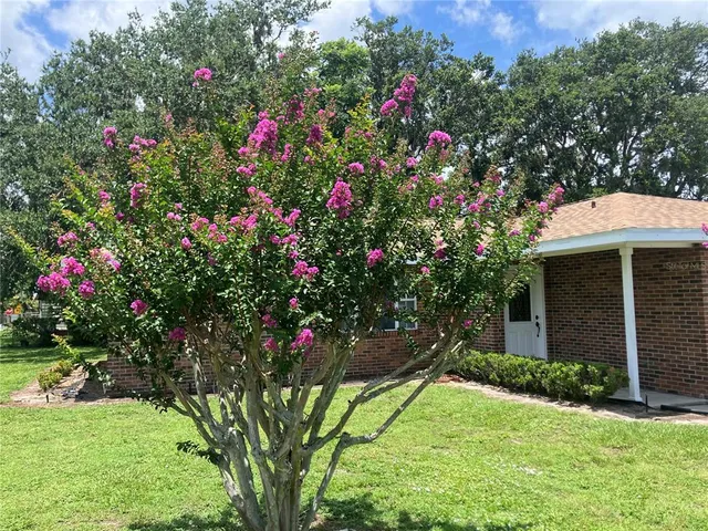 a view of a house with a yard and garden