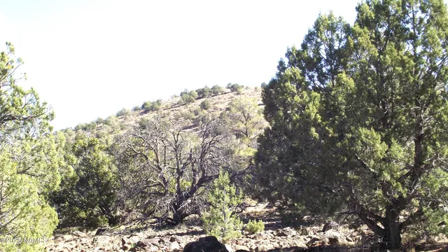 $20,000 | 803 East Pawpaw Lane, Williams, AZ 86046