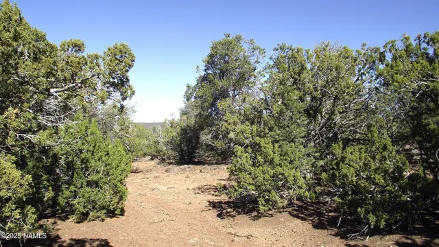 a view of a covered with snow on the tree