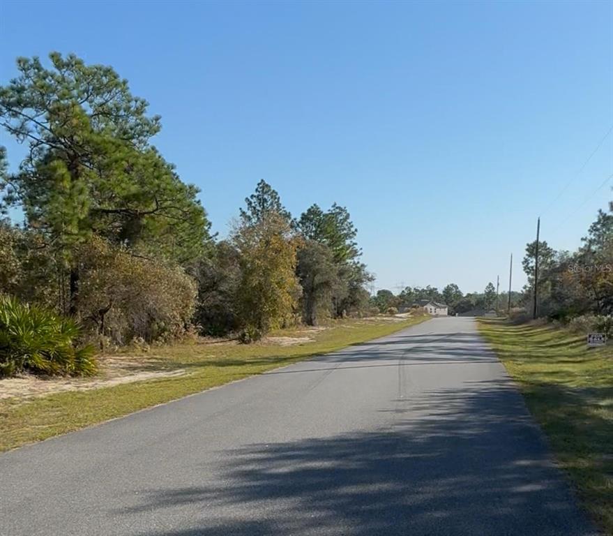 6783 North Pavilion Loop Citrus Springs, FL 34433 - Photo 2 of 10 a view of a yard with a house and a trees