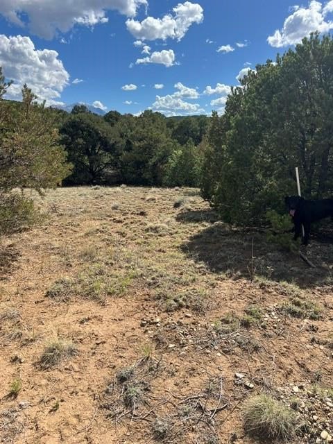 96 River Ridge Trail Walsenburg, CO 81089 - Photo 28 of 28
