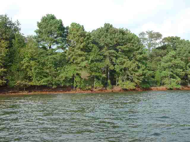 17 Mcclain Point Anderson, SC 29626 - Photo 2 of 3
