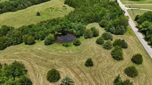 a view of a garden with plants