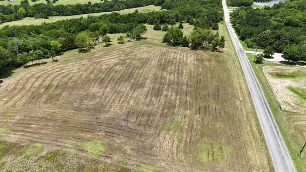 a view of a garden with plants