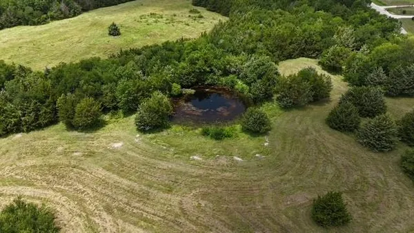 a view of a forest with a houses
