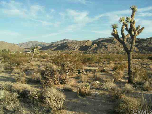 8744 Uphill Road Joshua Tree, CA 92252 - Photo 1 of 1