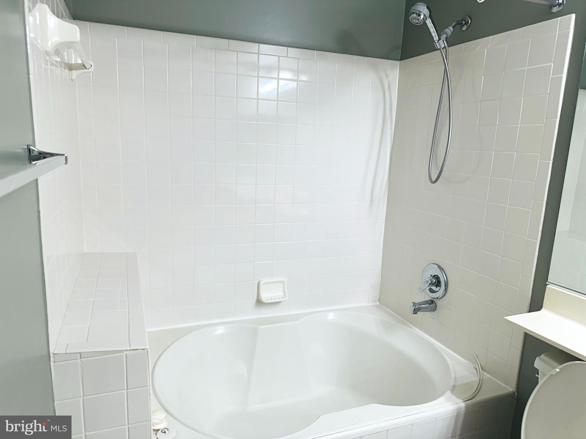 115 Timberbrook Lane, Unit 102 Gaithersburg, MD 20878 - Photo 14 of 20 a bathroom with a white tub