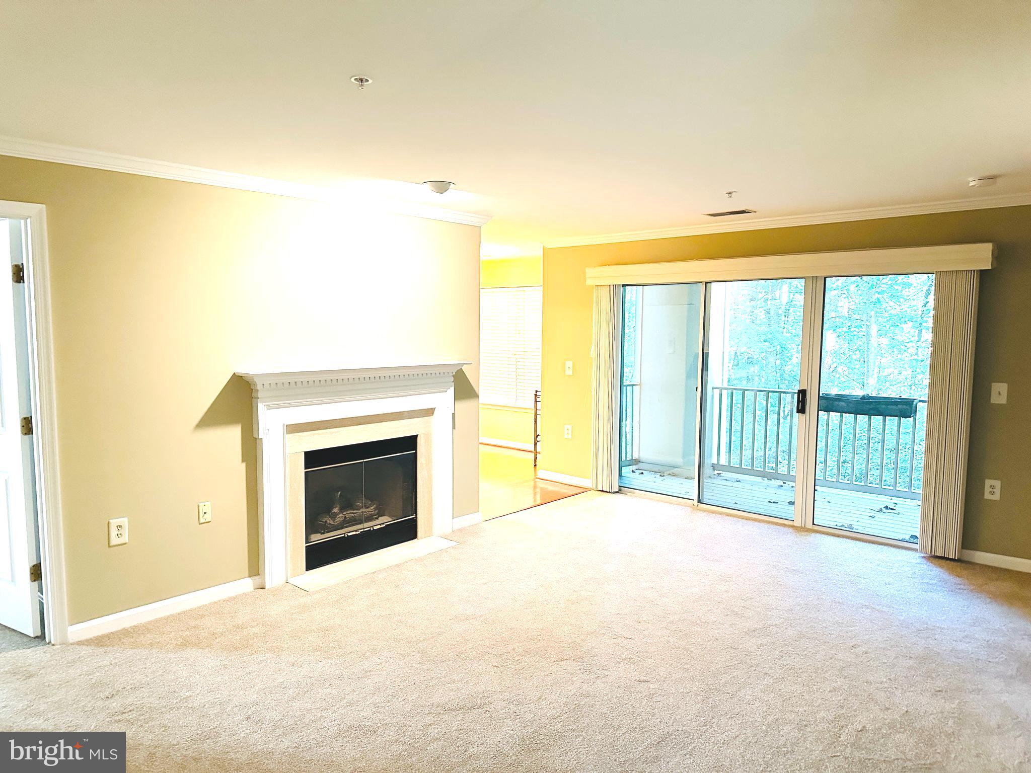 115 Timberbrook Lane, Unit 102 Gaithersburg, MD 20878 - Photo 3 of 20 a view of an empty room with a fireplace and a window