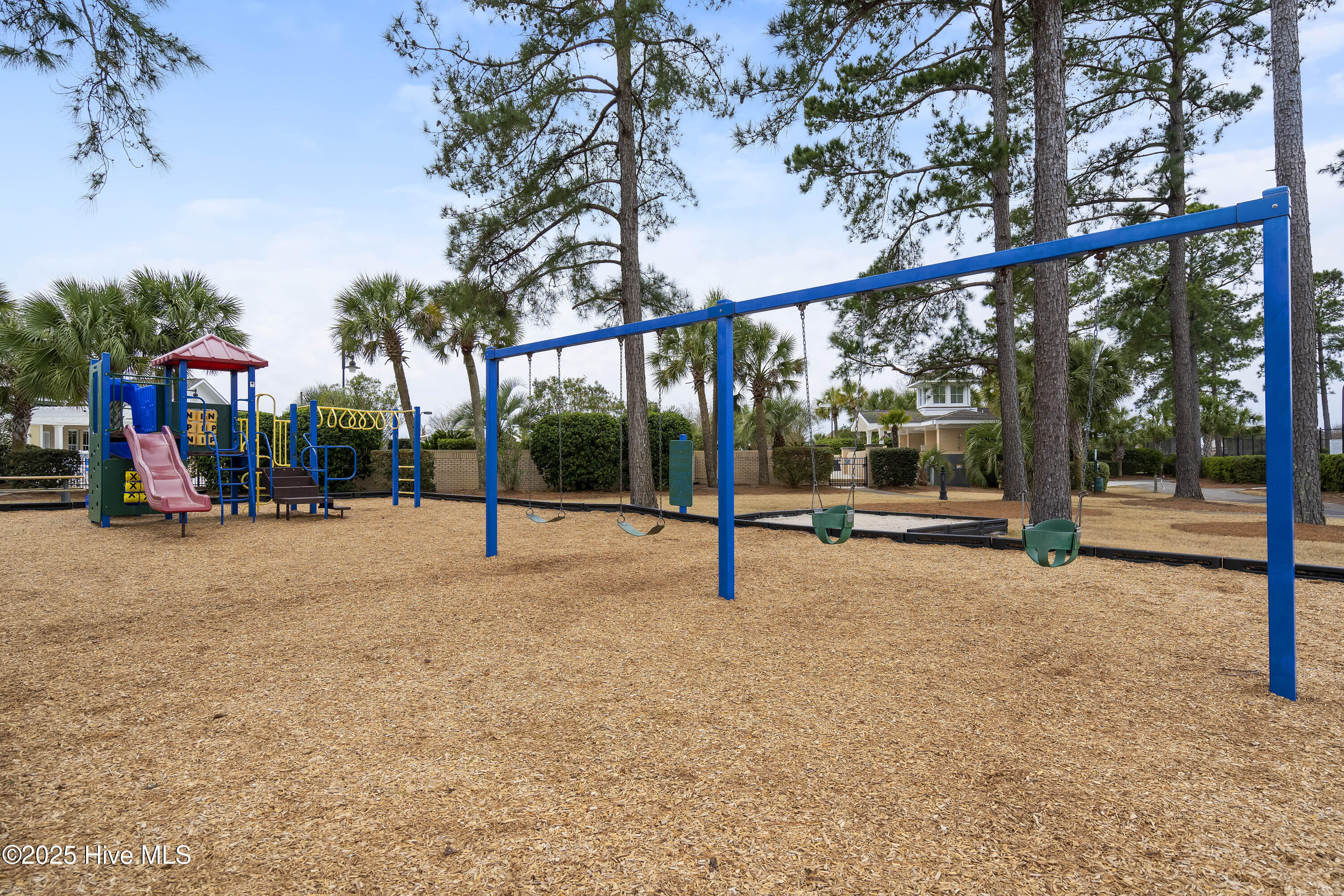 1226 Atrium Way Leland, NC 28451 - Photo 52 of 62 Playground