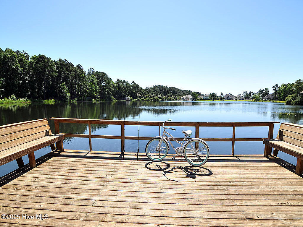 1226 Atrium Way Leland, NC 28451 - Photo 58 of 62 Community Dock