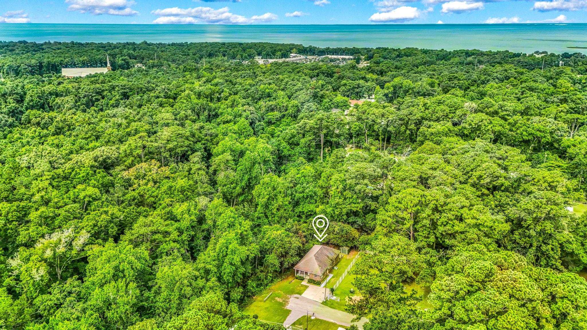 28129 8th Avenue Daphne, AL 36526 - Photo 32 of 38 Aerial View