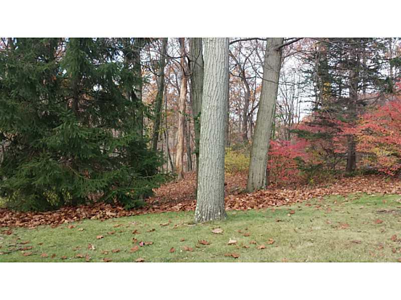 186 Spring Grove Road Penn Hills, PA 15235 - Photo 22 of 22 Yard/Garden.