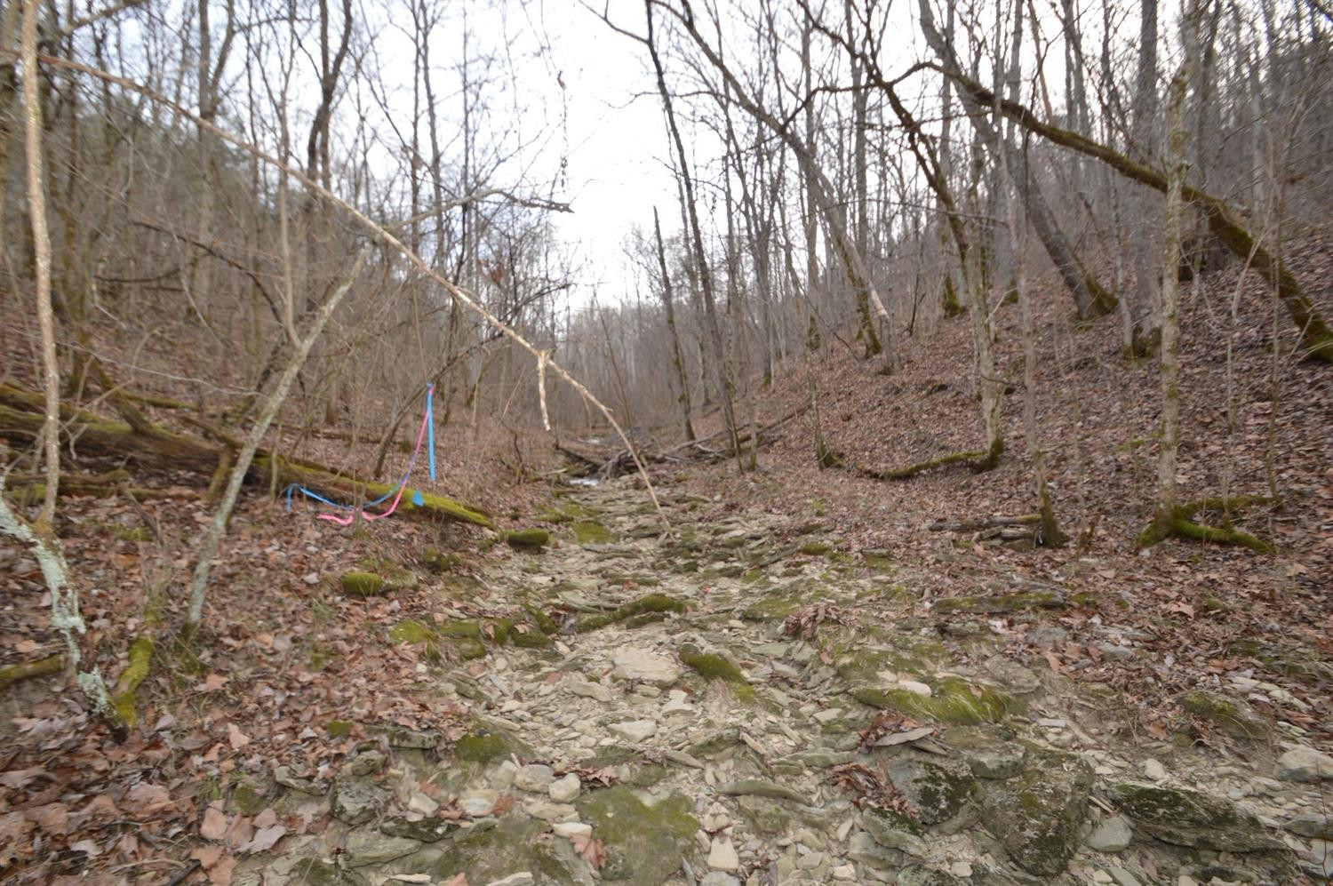 1290 Dennis Road, Unit 3 Lawrenceburg, KY 40342 - Photo 38 of 76 The boundary between Tract 3 and Tract 6