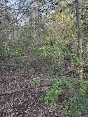 $48,995 | Lot 607 Waimanalo Drive, Bastrop, TX 78602