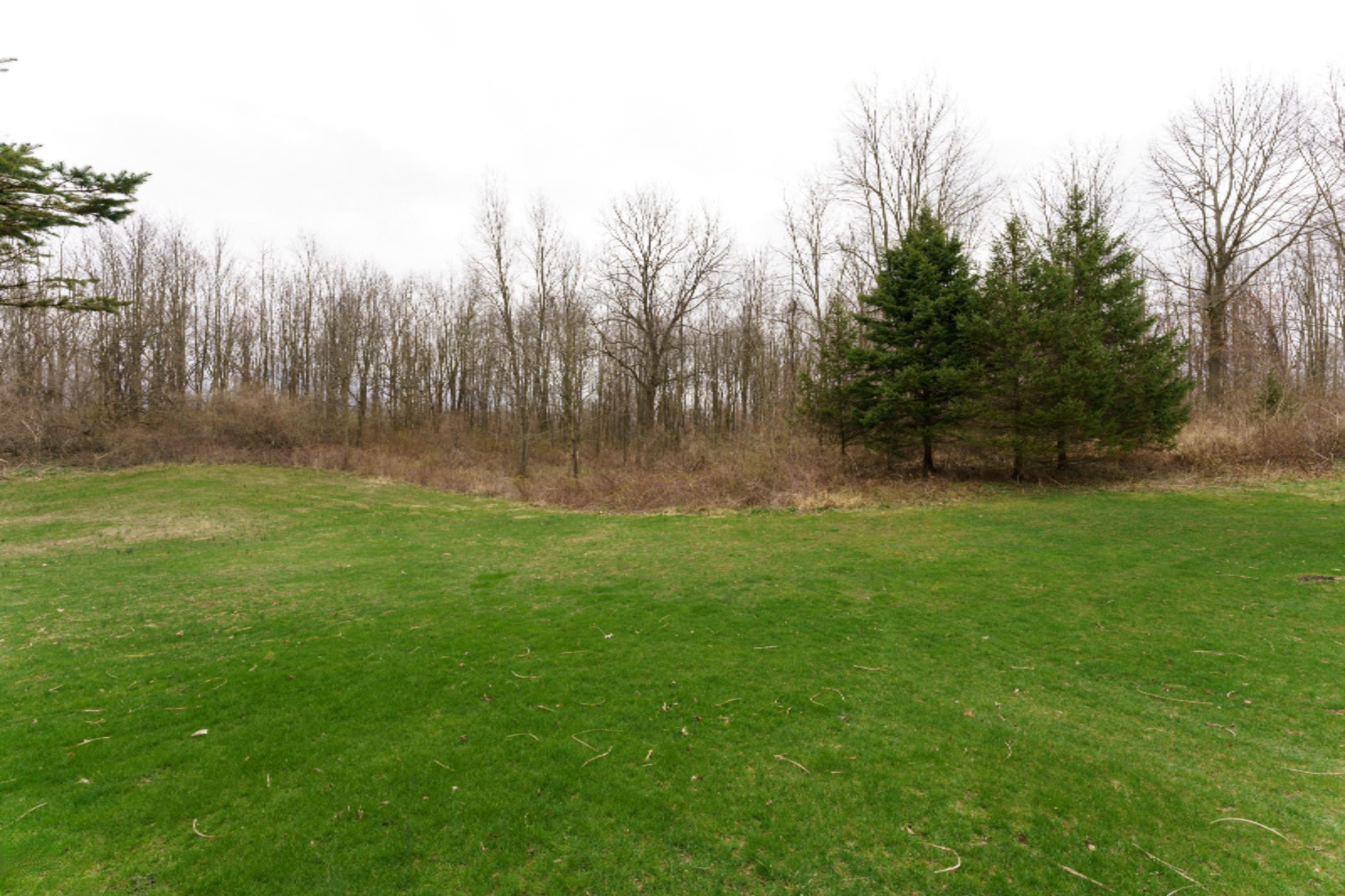 6261 Cooney Road Delton, MI 49046 - Photo 19 of 73 Cooney_Rd_6261_Delton_49046-SpringReshoo
