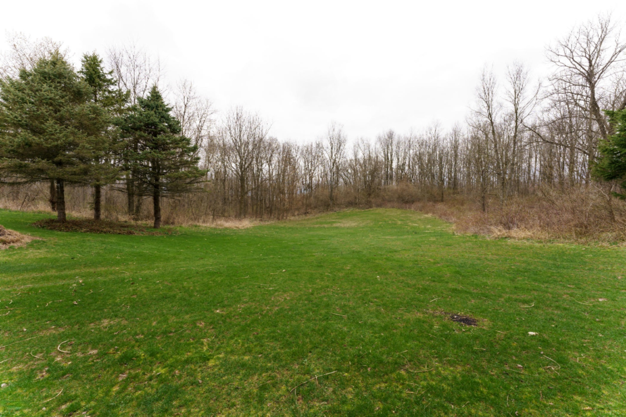 6261 Cooney Road Delton, MI 49046 - Photo 20 of 73 Cooney_Rd_6261_Delton_49046-SpringReshoo