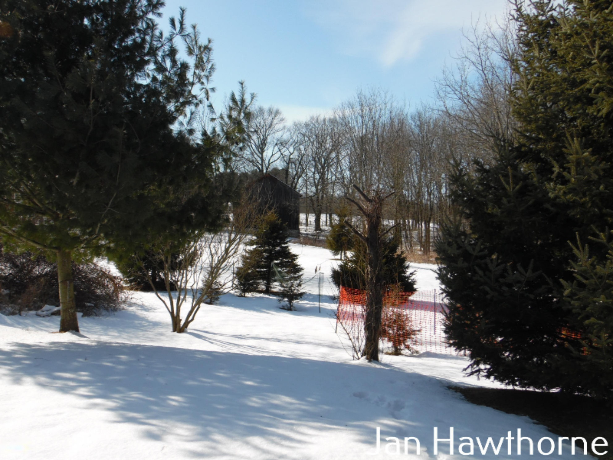 6261 Cooney Road Delton, MI 49046 - Photo 58 of 73 SAM_2933