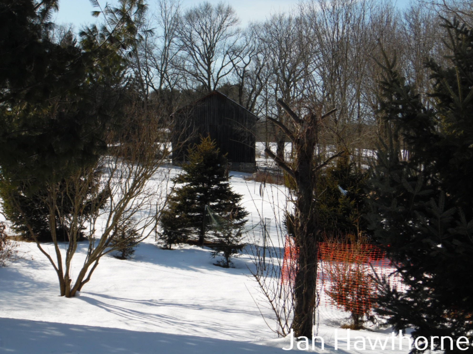 6261 Cooney Road Delton, MI 49046 - Photo 59 of 73 SAM_2936