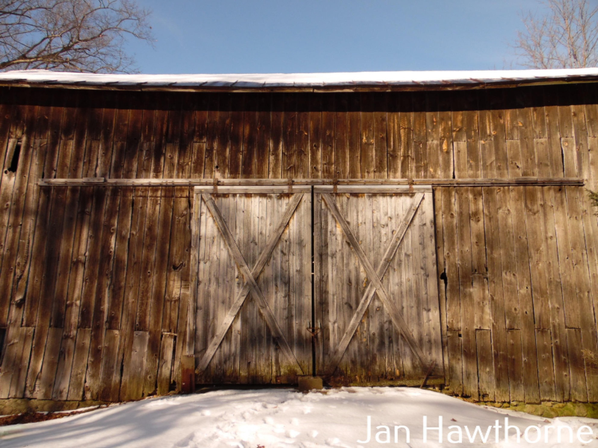 6261 Cooney Road Delton, MI 49046 - Photo 60 of 73 SAM_2954