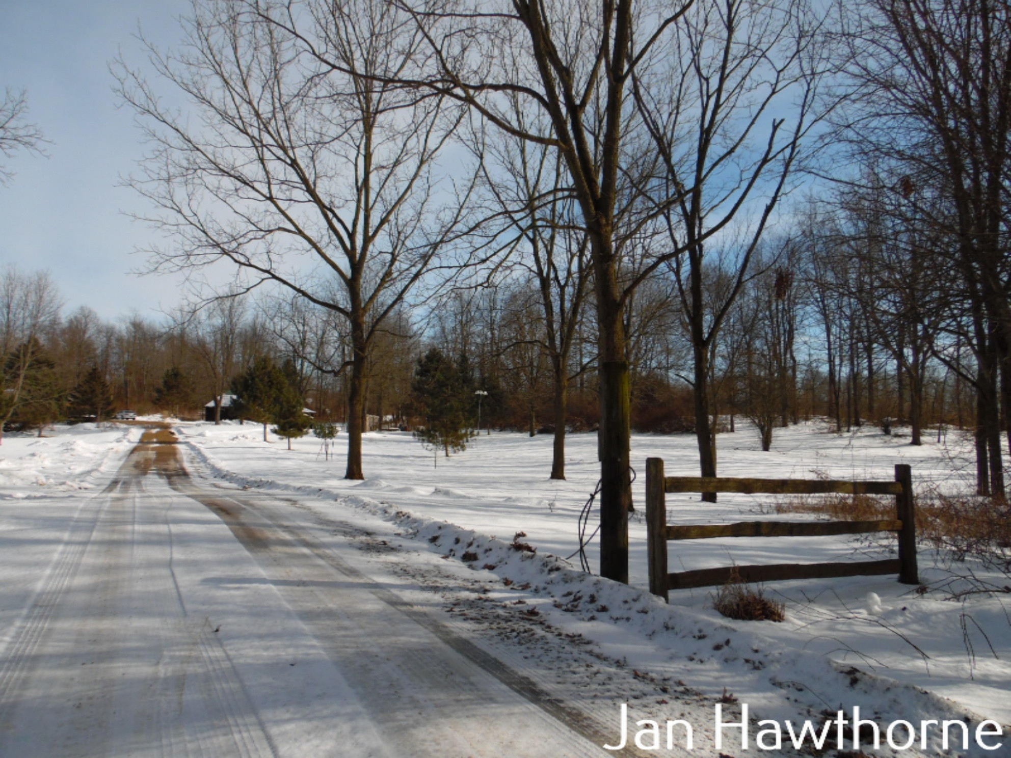6261 Cooney Road Delton, MI 49046 - Photo 61 of 73 SAM_2904
