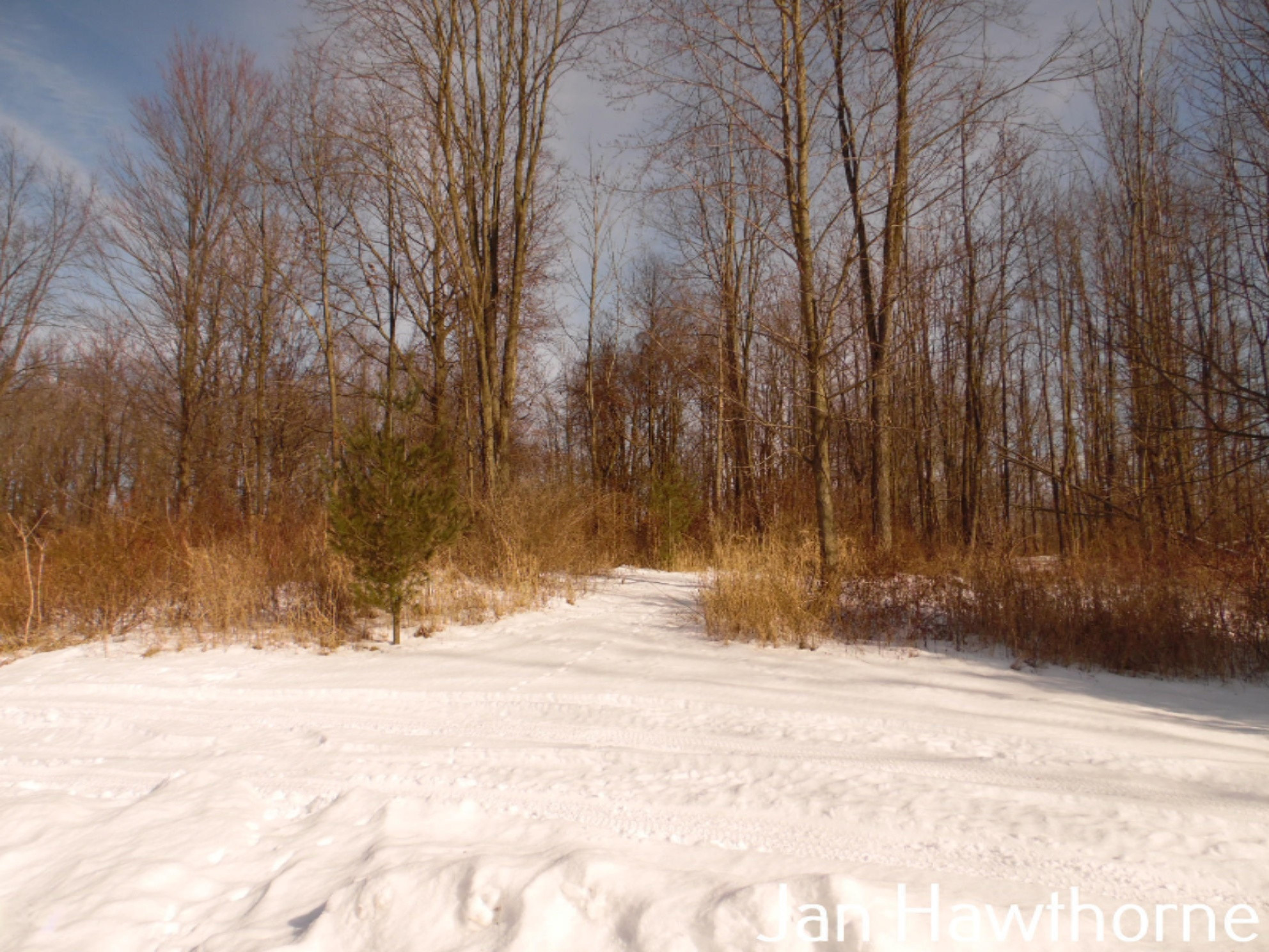 6261 Cooney Road Delton, MI 49046 - Photo 63 of 73 SAM_2920 (1)