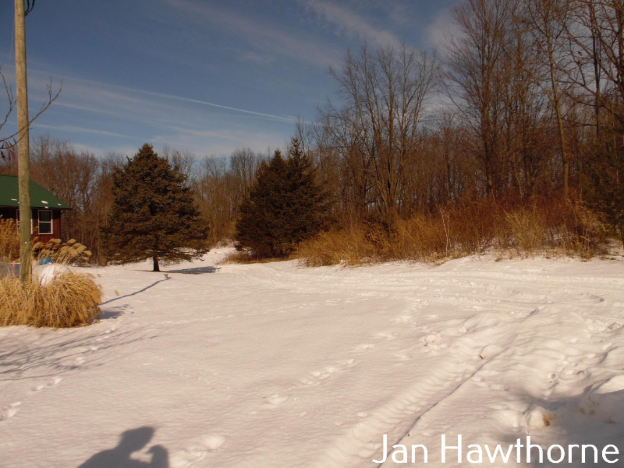 6261 Cooney Road Delton, MI 49046 - Photo 64 of 73 SAM_2916 (1)