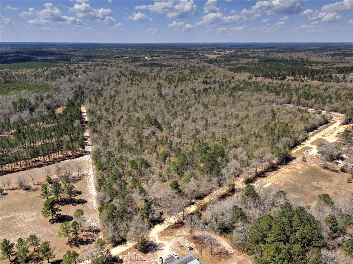 40.07-acre Tanglewood Road Williston, SC 29853 - Photo 5 of 9