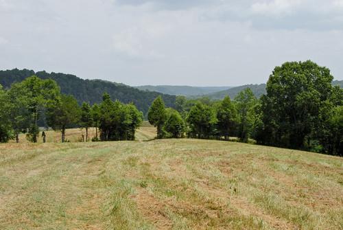 1500 Timber Ridge Road Charlotte, TN 37036 - Photo 1 of 19 Gallery Image 1