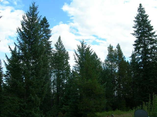 262 Bergen Road Newport, WA 99156 - Photo 12 of 13 Gallery Image 12